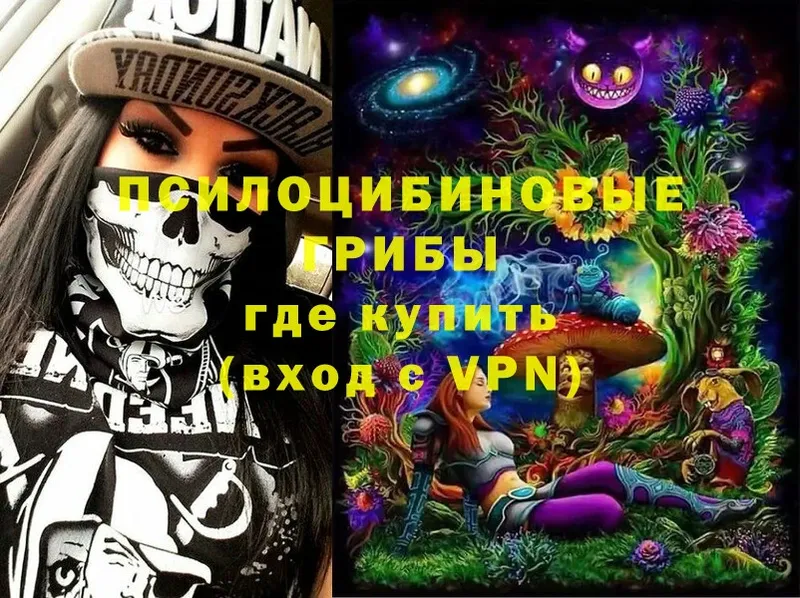 Галлюциногенные грибы Psilocybe Бахчисарай